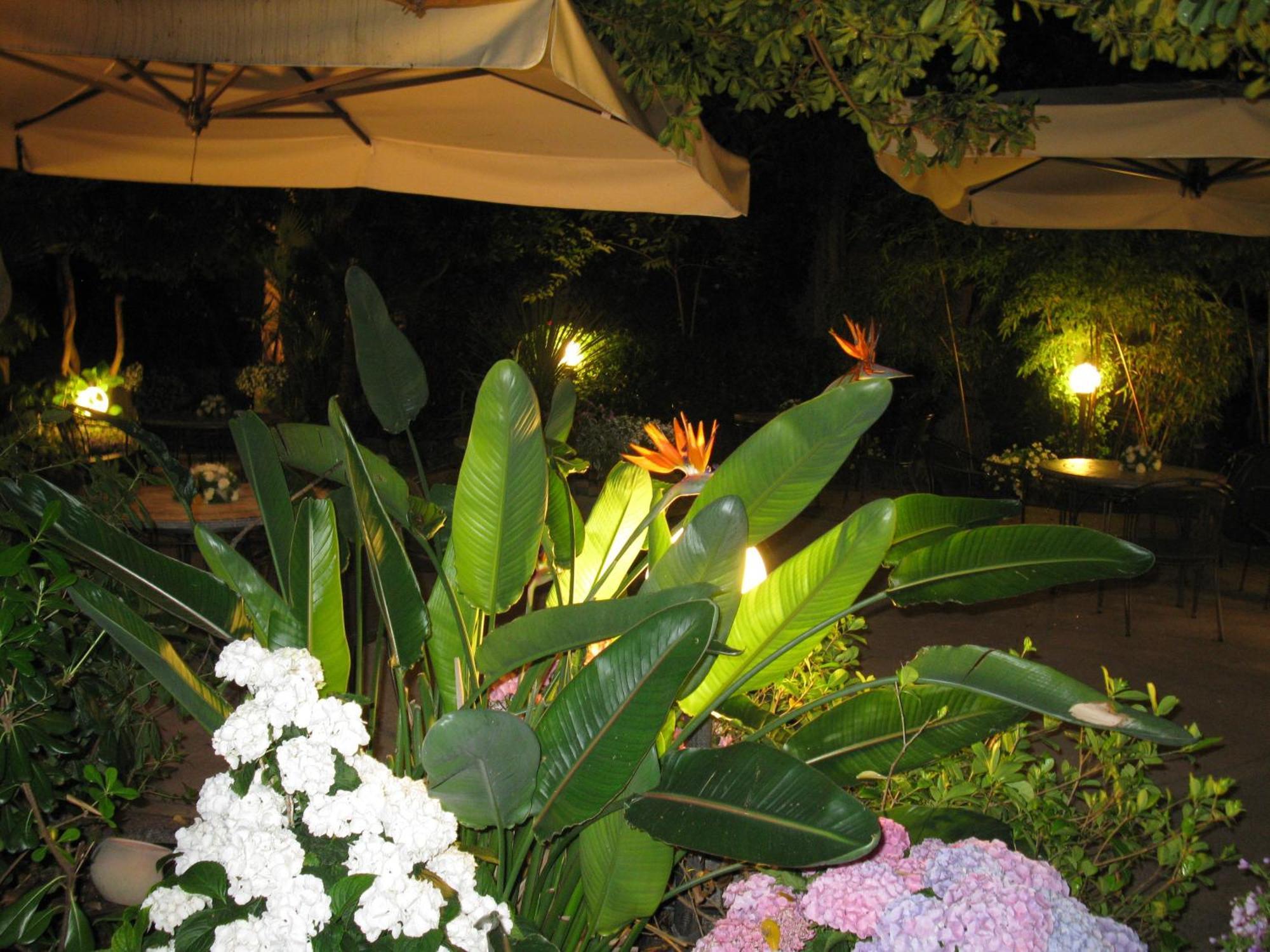 Hotel Miramare Lavagna Exterior foto